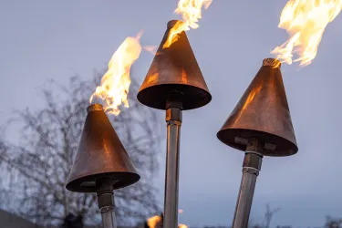 Rotweinwanderung 5 (© Pfalztouristik)