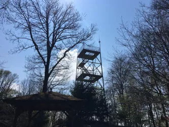 Selbergturm