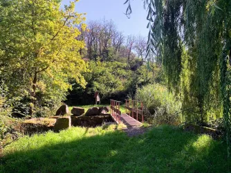 Weiher Rudi-Walg Hütte