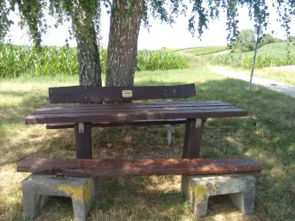 Birkenbänkel bei Vollmersweiler