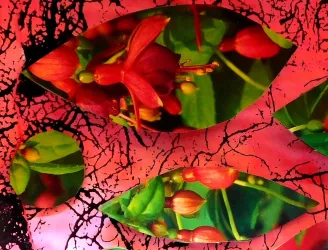 Bunte Blätter und Blumen auf einem roten Hintergrund. Die lebendigen Farben schaffen eine interessante Komposition.