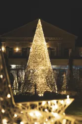 Ein festlich geschmückter Weihnachtsbaum strahlt mit Lichtern in der Nacht. Im Hintergrund ist ein Gebäude mit warmem Licht zu sehen.