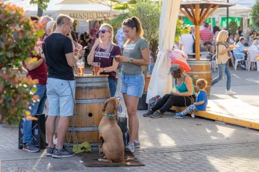 Eine belebte Veranstaltung im Freien mit Menschen, die an Stehtischen stehen und Getränke genießen. Ein Hund liegt entspannt auf dem Boden, während einige Kinder in der Nähe spielen.
