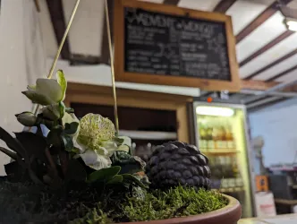 Ein dekorativer Pflanztopf mit weißen Blumen und einer Tannenzapfen. Im Hintergrund ist eine Tafel mit Menüangeboten sichtbar.