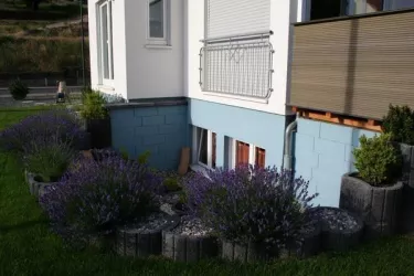 Fenster zum Garten2