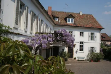 Ein charmantes weißes Haus mit einem roten Dach und einem schönen Hof. An einer Pergola blühen lila Blumen und sorgen für eine einladende Atmosphäre.