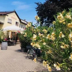 Ein schöner Außenbereich eines Restaurants mit blühenden Pflanzen und einer einladenden Atmosphäre. Im Vordergrund steht ein Fahrrad, während die Sonne scheint und der Himmel blau ist.