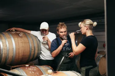 Drei Personen verkosten Wein in einem Weinkeller. Sie stehen neben großen Holzfässern und halten Gläser in der Hand.