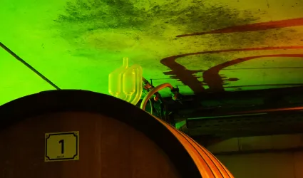 Ein Weinfass im lichtvollen Raum mit bunten Reflexionen an der Decke. Die Atmosphäre ist mystisch und einladend.