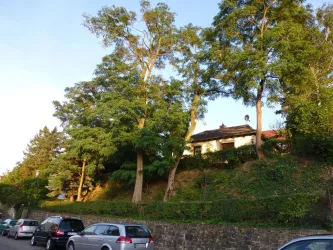 Blick von d. Strasse