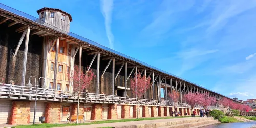 Gradierbau im Frühling