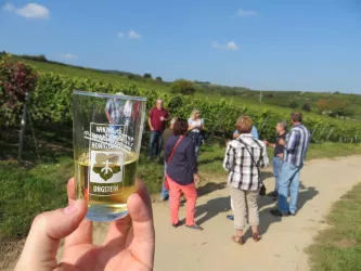 Weinbergführung mit Proben