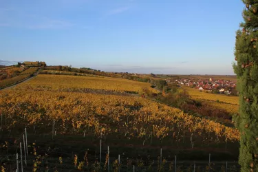 Herrenberg