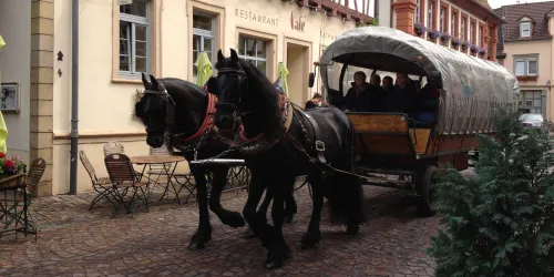 Kreuzhof Planwagen Freinsheim