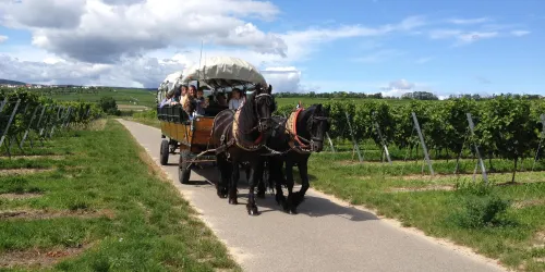 Kreuzhof Planwagen