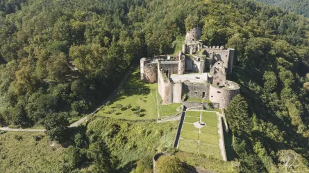 Luftaufnahme der Hardenburg bei Bad Dürkheim umgeben von Wiesen und Wäldern.