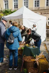 Ein Marktstand mit frischem Obst und Gemüse. Menschen schauen sich die Waren an und sprechen miteinander.