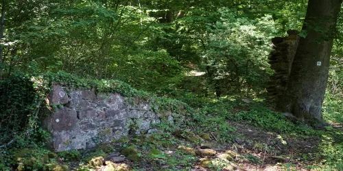 Steinmauer (© Stadt Bad Dürkheim)