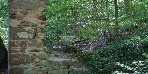 Mauerreste (© Stadt Bad Dürkheim)