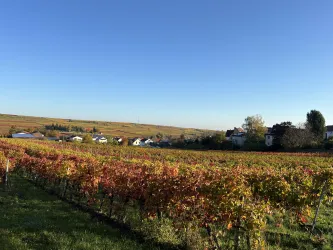 Blick auf das Haus