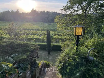 Eigener Garten