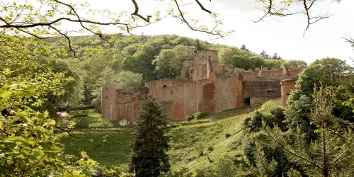 Schloss- und Festungsruine Hardenburg