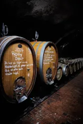 Holzfässer in einem Weinkeller mit Beschriftungen für 2024er Weine. Die Atmosphäre ist dunkel und rustikal.