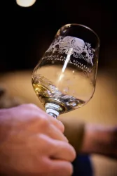 Ein Glas Weißwein wird sanft geschwenkt. Im Hintergrund ist eine gemütliche Atmosphäre zu erkennen.