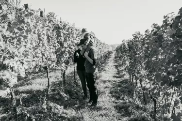 Im Weinberg