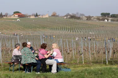 Eine Gruppe von fünf Personen sitzt an einem Tisch in einem Weinberg. Im Hintergrund sind grüne Weinreben und Menschen bei der Arbeit zu sehen.