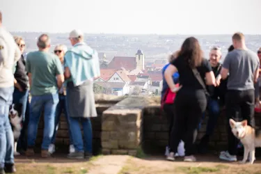 Eine Gruppe von Menschen steht an einer Mauer und blickt auf eine Stadt. Im Vordergrund sind einige Hunde zu sehen.
