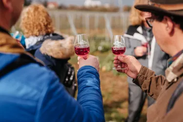 Beim Wandern genießen: feine Dürkheimer Weine