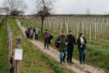 In den Weinbergen lässt sich gut entspannen!