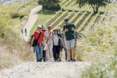 Eine Gruppe von Menschen wandert einen Weg zwischen Weinreben entlang. Sie unterhalten sich fröhlich und genießen die Natur.