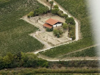 Blick aus der Vogelperspektive (© Stadt Bad Dürkheim)