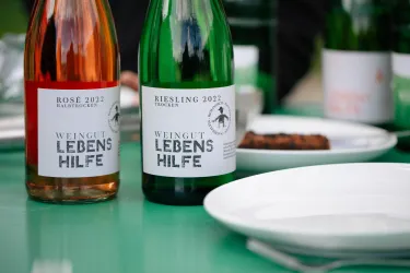 Zwei Flaschen Wein auf einem Tisch, eine Rosé- und eine Rieslingflasche. Der Tisch ist grün gedeckt und es sind ein Teller und einige Snacks sichtbar.