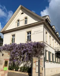 Ein schönes Weingut mit blühender Wisteria und einer eleganten Fassade. Der Himmel ist klar und sonnig, was die Atmosphäre erhellt.