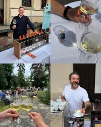 Eine Weinverkostung im Freien mit verschiedenen Weinen und fröhlichen Gästen. Menschen stoßen mit Gläsern an und genießen die Atmosphäre im Garten.