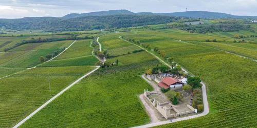 Römervilla Weilberg Luftbild