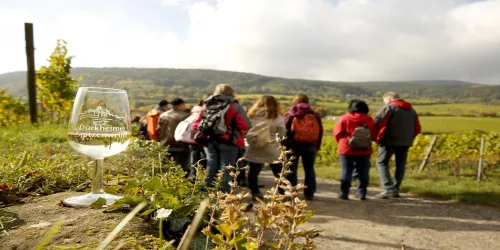 Weinwanderung Gruppe (© melhubach photographie)