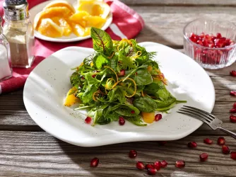 Wildkräuter Salat