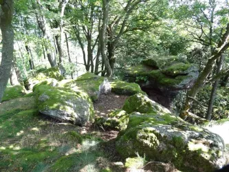 Rahnfels Felsenlandschaft