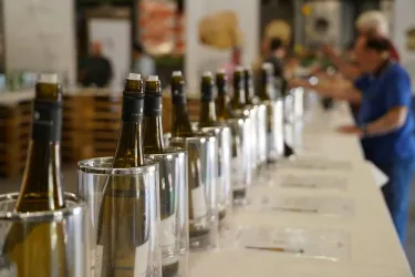 Eine Reihe von Weinflaschen steht in Kühlbehältern auf einem Tisch. Im Hintergrund sind Personen zu sehen, die an einer Weinverkostung teilnehmen.