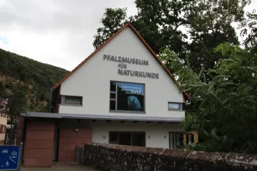 Pfalzmuseun für Naturkunde