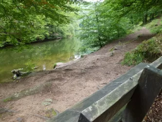 Seitenansicht Isenachweiher (© Stadt Bad Dürkheim)