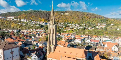 Schlosskirche mit Pfälzerwald im Hintergrund