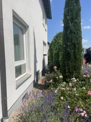 Eine helle Hauswand mit einem Garten voller Blumen und Lavendel. Im Hintergrund stehen hohe Bäume und der Himmel ist blau.