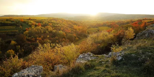 Berntal