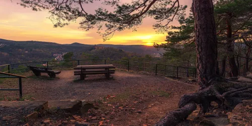Ausblick auf die Limburg (© Stadt Bad Dürkheim)
