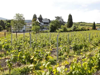 Weingut Pfeffingen